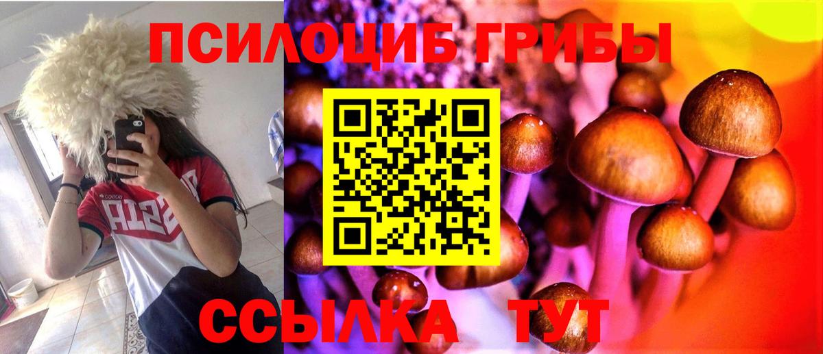 Галлюциногенные грибы Magic Shrooms  Вход с VPN  Псилоцибиновые грибы ЛСД  Ногинск 
