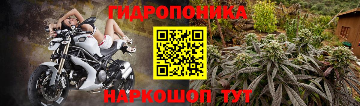 Шишки марихуана Bruce Banner  Вход с VPN  Каннабис THC 21%  Ногинск 